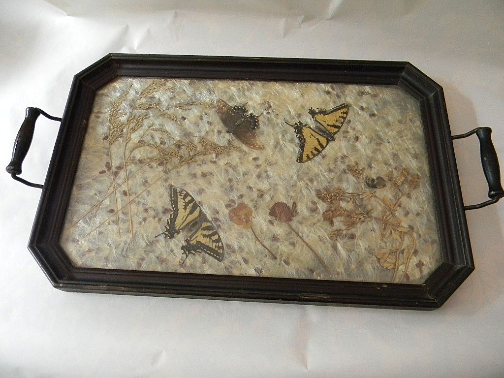 Butterflies Under Glass Serving Tray with Wood Frame Butterflies Under Glass Serving Tray with Wood Frame