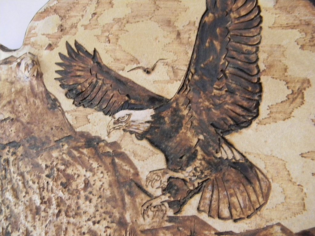 Gino Guidici . Carved / Burned Eagle Landscape Drawing on Tree Conk Gino Guidici . Carved / Burned Eagle Landscape Drawing on Tree Conk