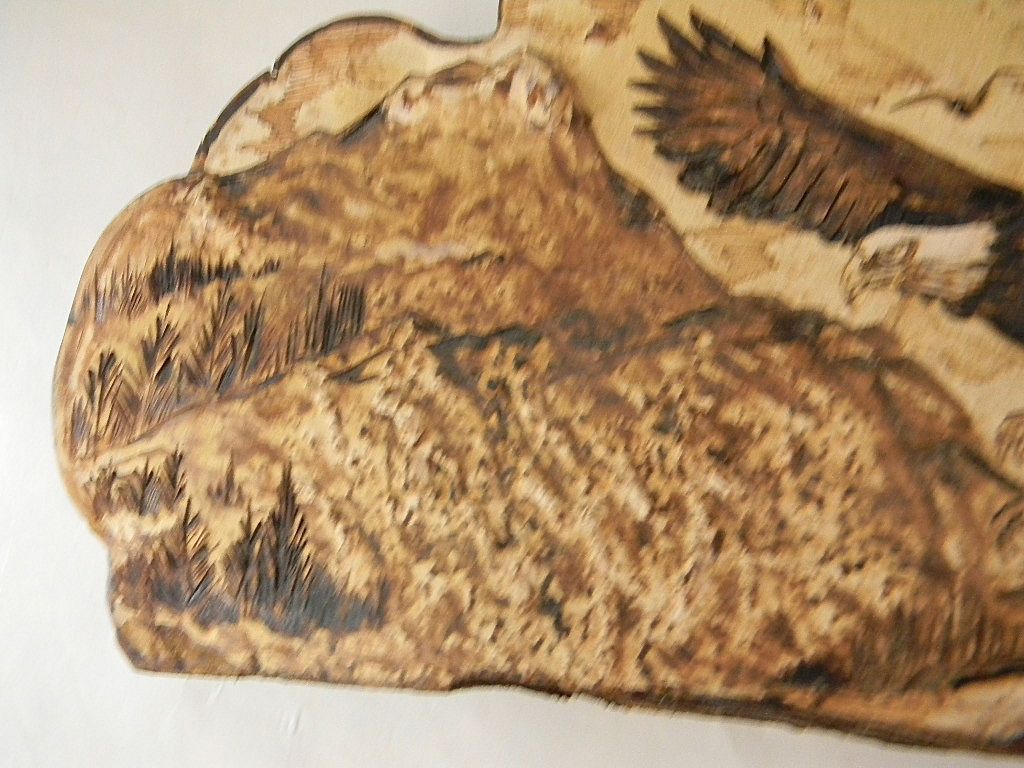 Gino Guidici . Carved / Burned Eagle Landscape Drawing on Tree Conk Gino Guidici . Carved / Burned Eagle Landscape Drawing on Tree Conk