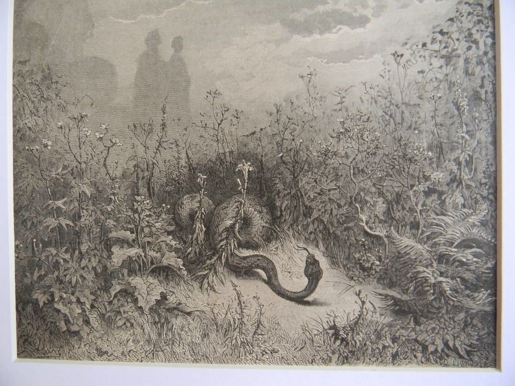 Gustave Dore (1832-1883) Engraving from "Purgatory & Paradise" by Dante . Gustave Dore (1832-1883) Engraving from "Purgatory & Paradise" by Dante .