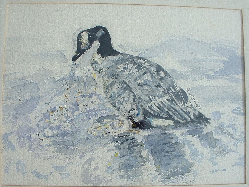 Artist Jane Whipple Watercolor of Duck / Bird Artist Jane Whipple Watercolor of Duck / Bird