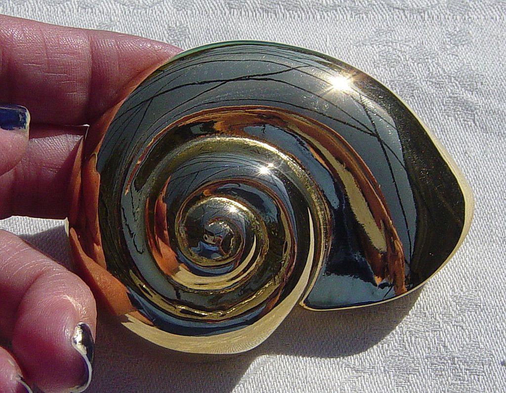 Large Dotty Smith Snail Belt Buckle Large Dotty Smith Snail Belt Buckle