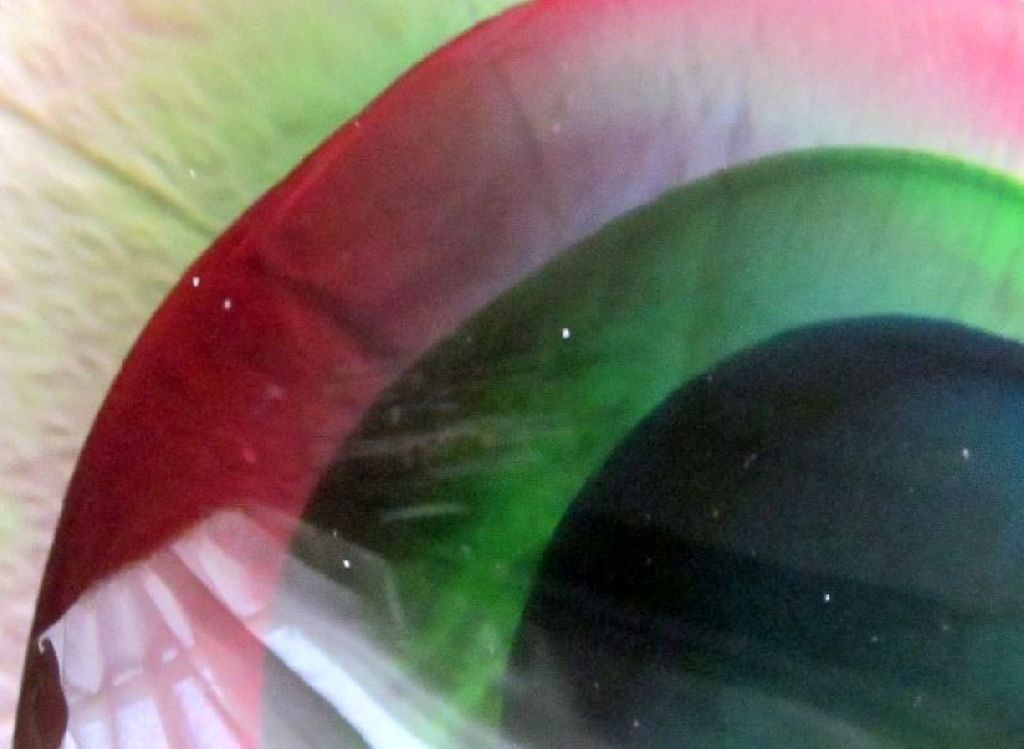 Flavio Poli for Seguso Sommerso Teardrop Sculpture Fuchsia Green Blue Clear Flavio Poli for Seguso Sommerso Teardrop Sculpture Fuchsia Green Blue Clear