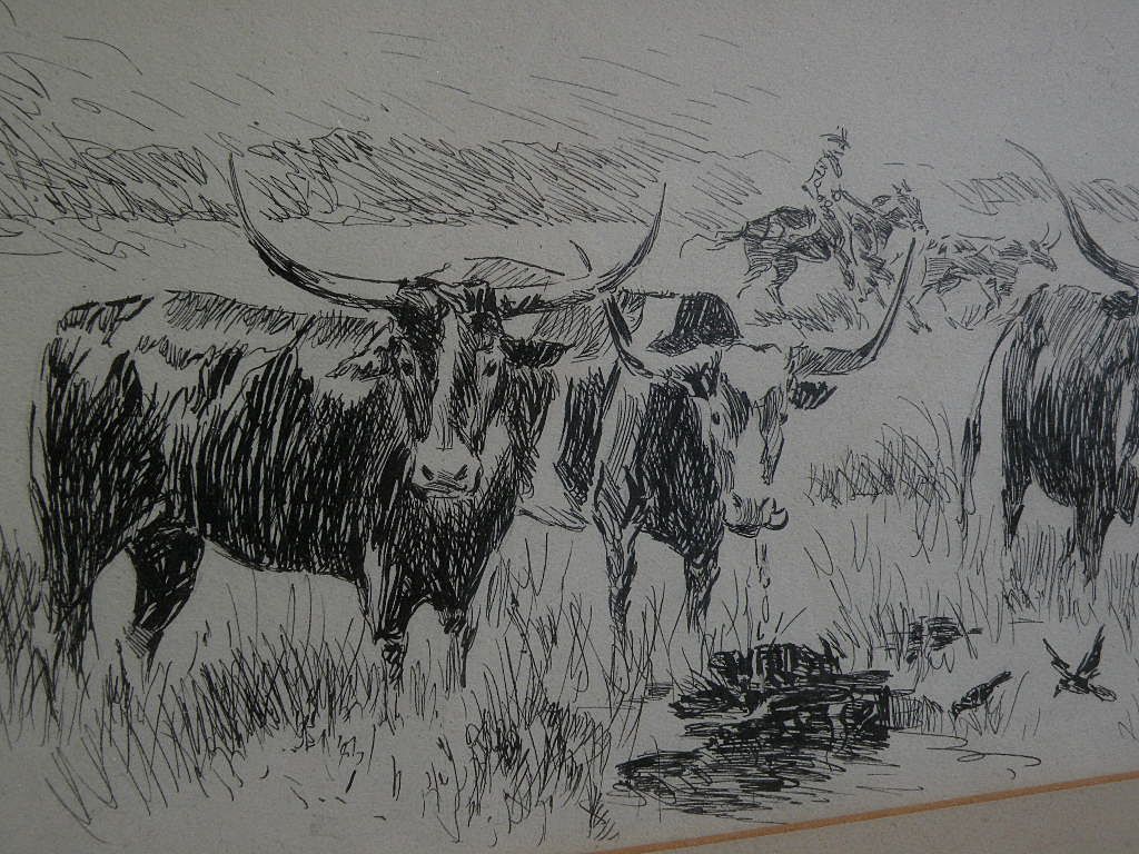 Southwest art signed ink drawing of longhorn cattle possibly New Mexico listed artist Southwest art signed ink drawing of longhorn cattle possibly New Mexico listed artist
