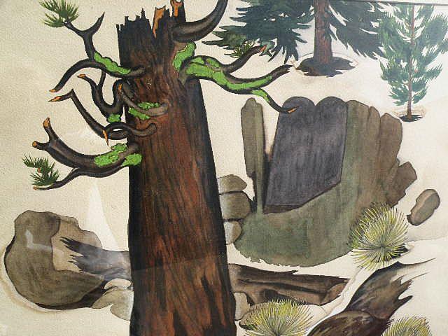 Modernist California art 1951 watercolor forest scene painting Modernist California art 1951 watercolor forest scene painting