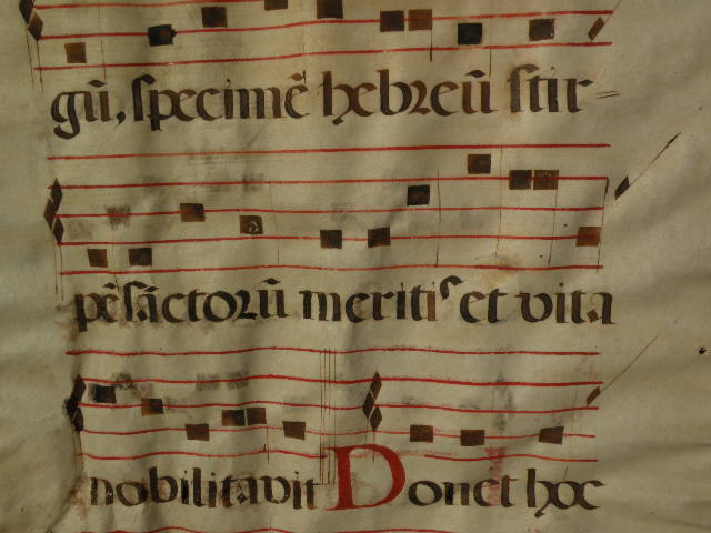 Antique music double sided antiphonal on animal skin circa 17th century Antique music double sided antiphonal on animal skin circa 17th century