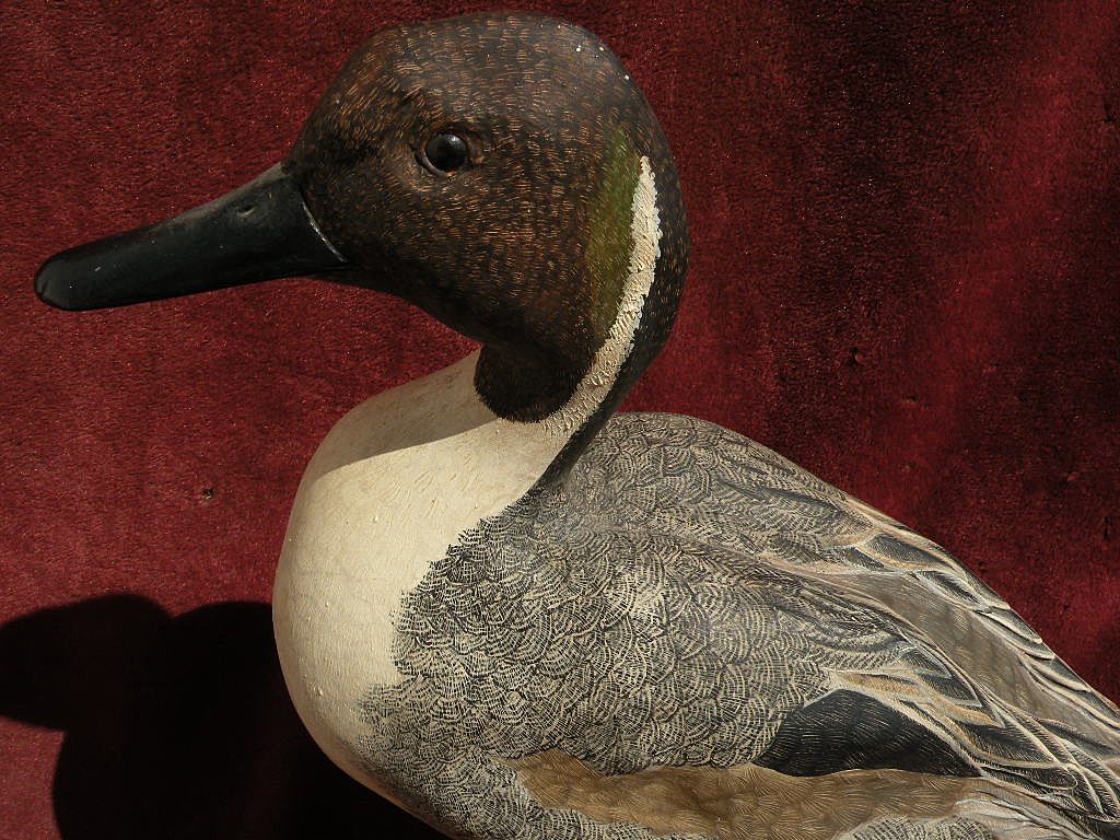 Hand painted limited edition wildfowl duck sculpture signed MARK YOUNG Hand painted limited edition wildfowl duck sculpture signed MARK YOUNG