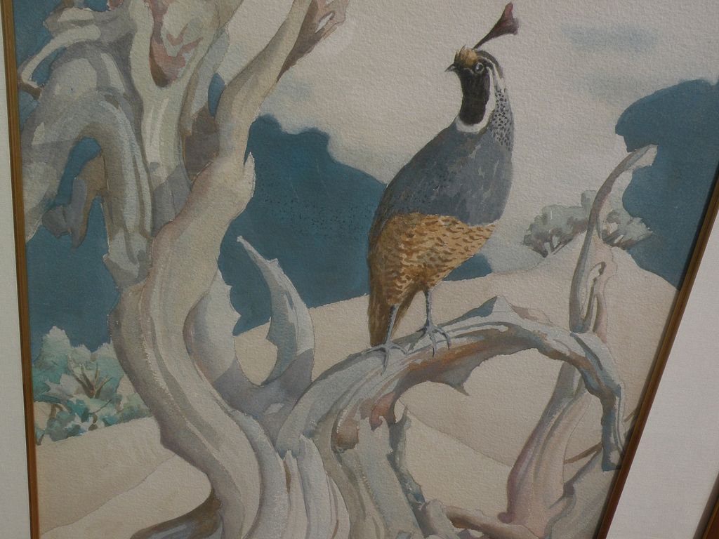California watercolor of quail in a natural setting by MUGGS VAN SANT contemporary of Millard Sheets California watercolor of quail in a natural setting by MUGGS VAN SANT contemporary of Millard Sheets