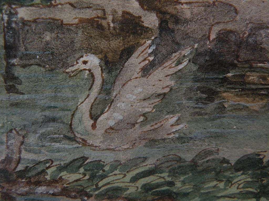 Circa 1800 English or American old ink and watercolor drawing of swans in a pond Circa 1800 English or American old ink and watercolor drawing of swans in a pond