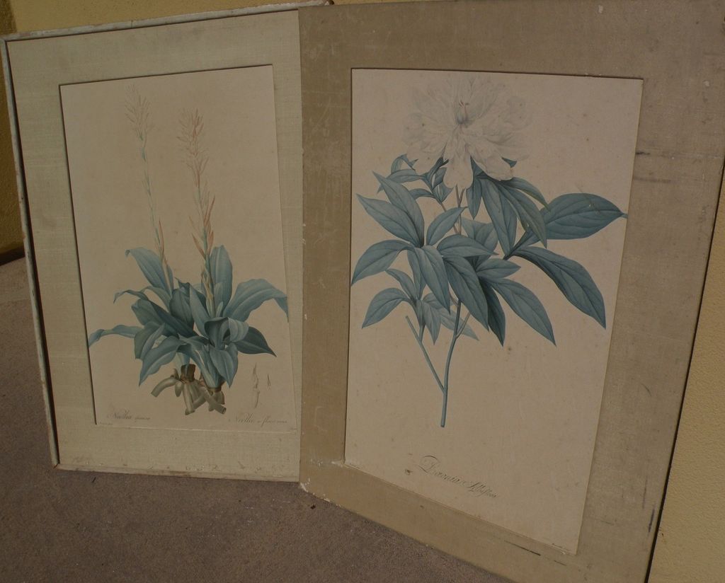 PIERRE-JOSEPH REDOUTE (1759-1840) botanical art **PAIR** of hand colored stipple engraving prints PIERRE-JOSEPH REDOUTE (1759-1840) botanical art **PAIR** of hand colored stipple engraving prints