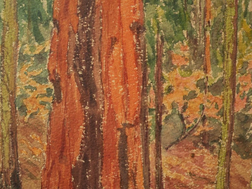 Circa 1935 watercolor painting of trunk of large forest tree signed Mary Inez Tidwell Circa 1935 watercolor painting of trunk of large forest tree signed Mary Inez Tidwell