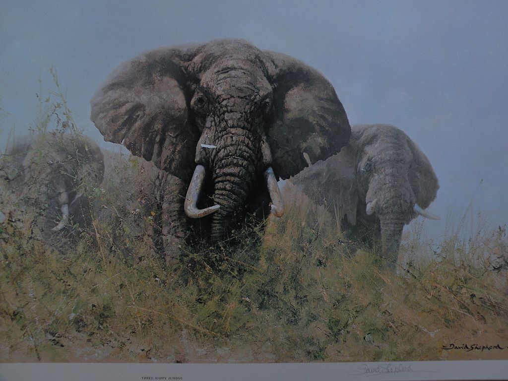 DAVID SHEPHERD (1931-) important African wildlife art pencil signed large photolithograph print DAVID SHEPHERD (1931-) important African wildlife art pencil signed large photolithograph print
