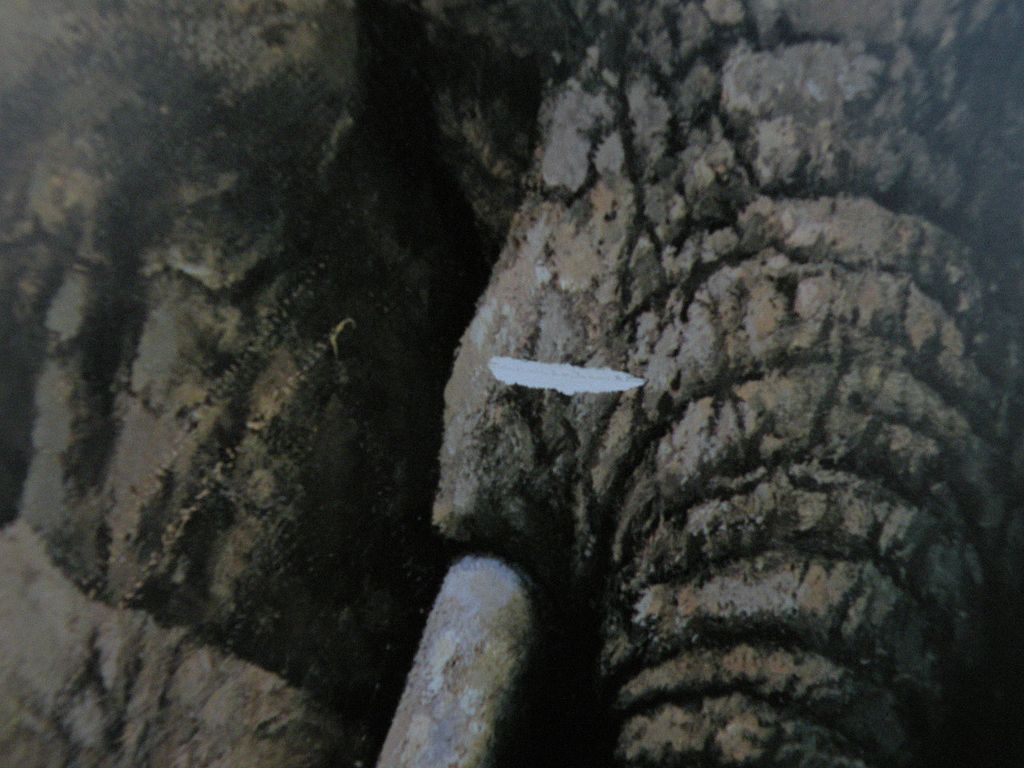 DAVID SHEPHERD (1931-) important African wildlife art pencil signed large photolithograph print DAVID SHEPHERD (1931-) important African wildlife art pencil signed large photolithograph print