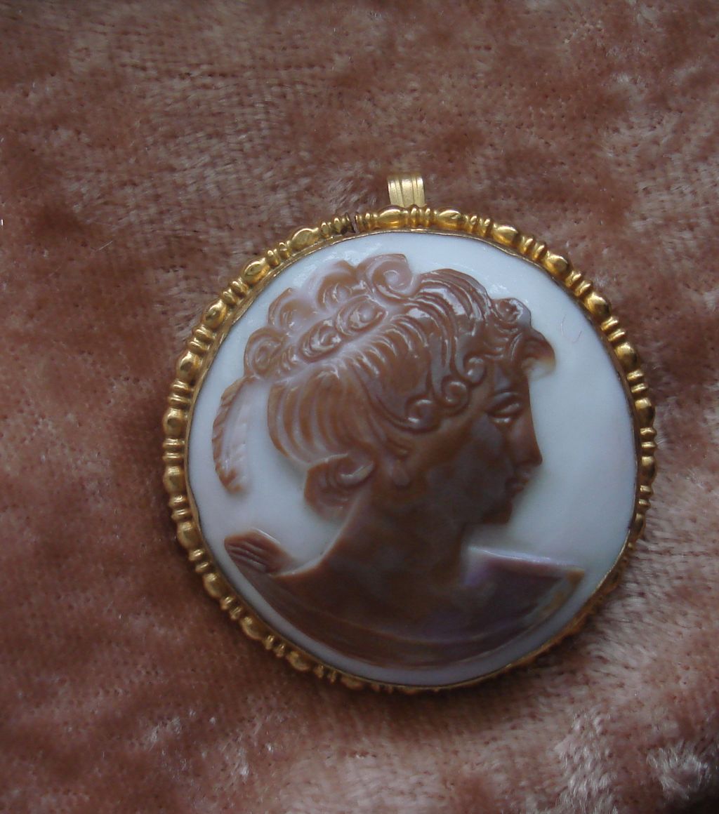 Unique Vintage Hand carved Cowrie Shell cameo Brooch Pin Pendant Unique Vintage Hand carved Cowrie Shell cameo Brooch Pin Pendant