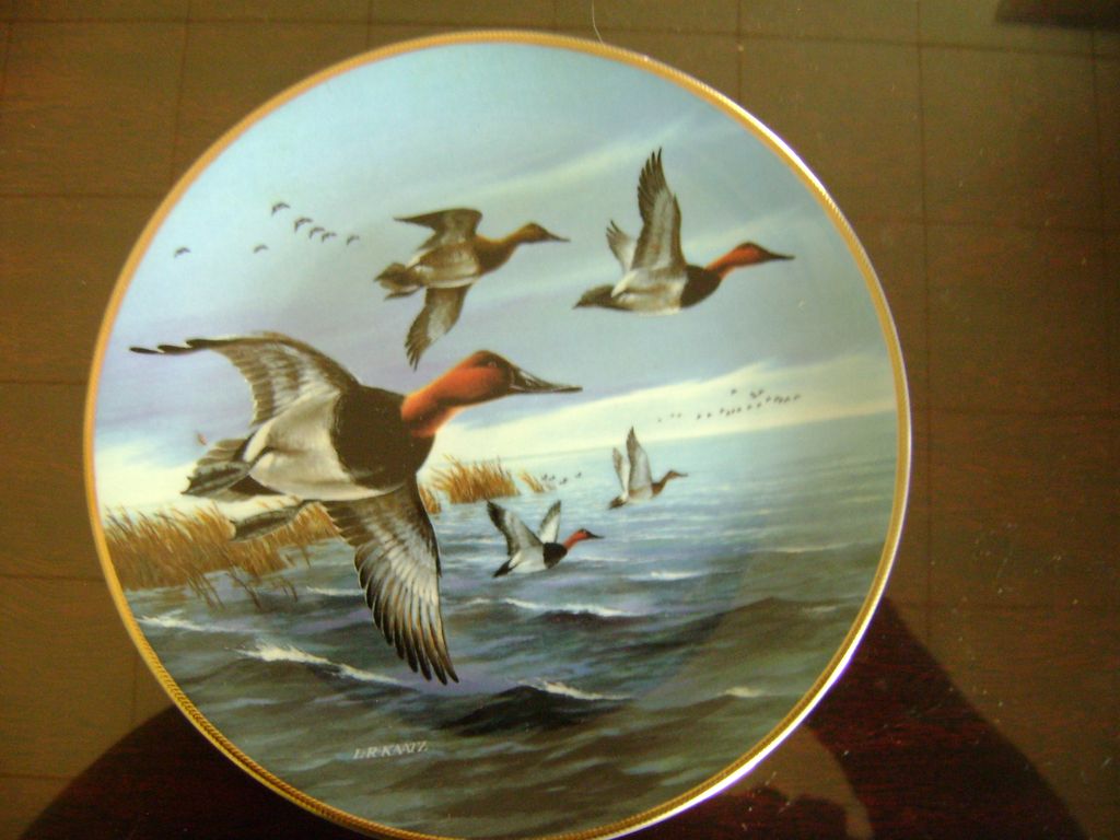 Canvasbacks Breaking Away Ducks Unlimited Classic Waterfowl Plate Series Canvasbacks Breaking Away Ducks Unlimited Classic Waterfowl Plate Series