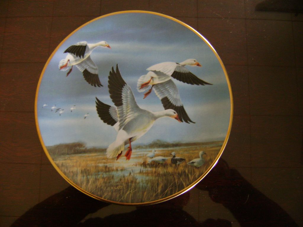 Snow Geese Against the Nov Skies Ducks Unlimited Classic Waterfowl Plate Series Snow Geese Against the Nov Skies Ducks Unlimited Classic Waterfowl Plate Series