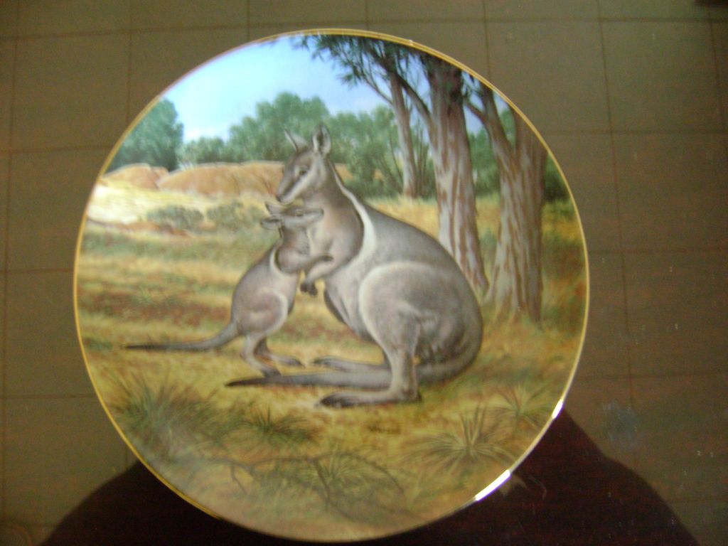 The Brindled Wallaby The Last of Their Kind The Endangered Species The Brindled Wallaby The Last of Their Kind The Endangered Species