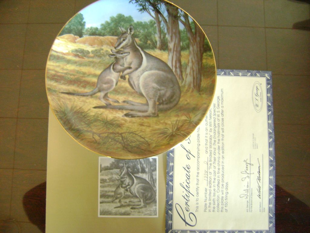 The Brindled Wallaby The Last of Their Kind The Endangered Species The Brindled Wallaby The Last of Their Kind The Endangered Species