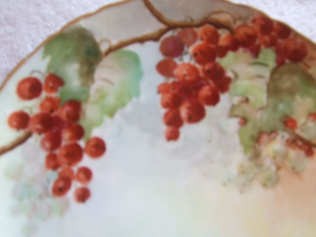 Vintage Haviland, Limoges France, China Plate With Berries Vintage Haviland, Limoges France, China Plate With Berries