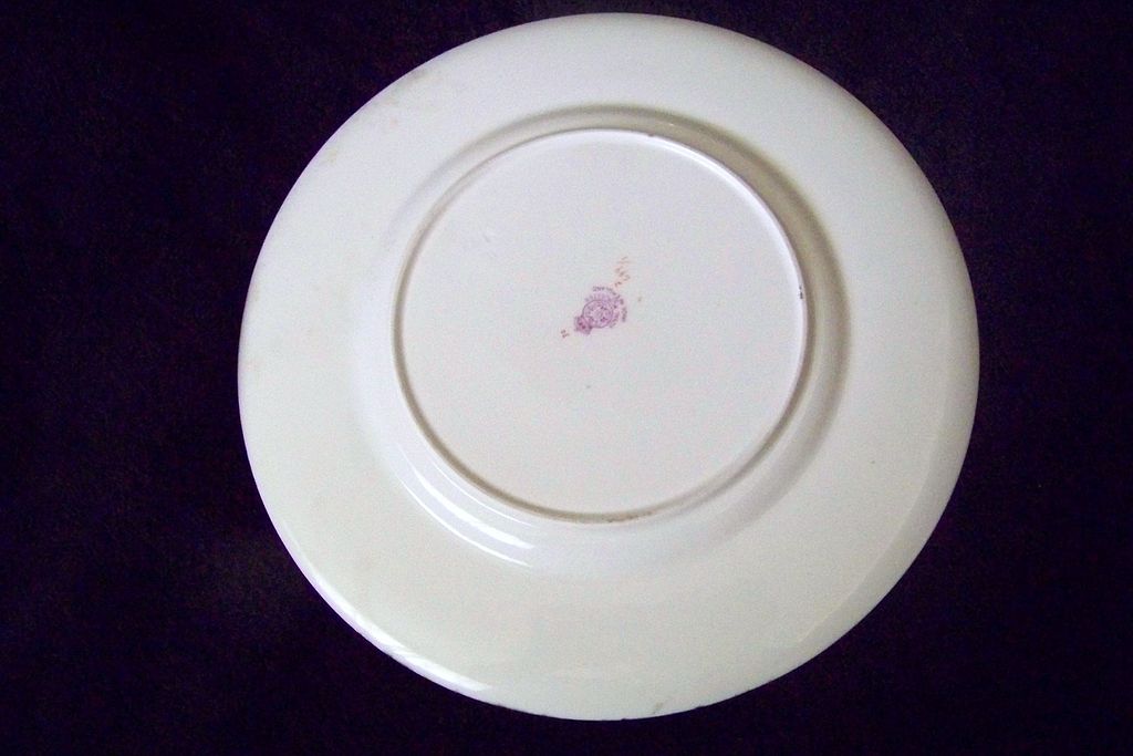 Royal Worcester Enamel Painted Floral Plate England Royal Worcester Enamel Painted Floral Plate England