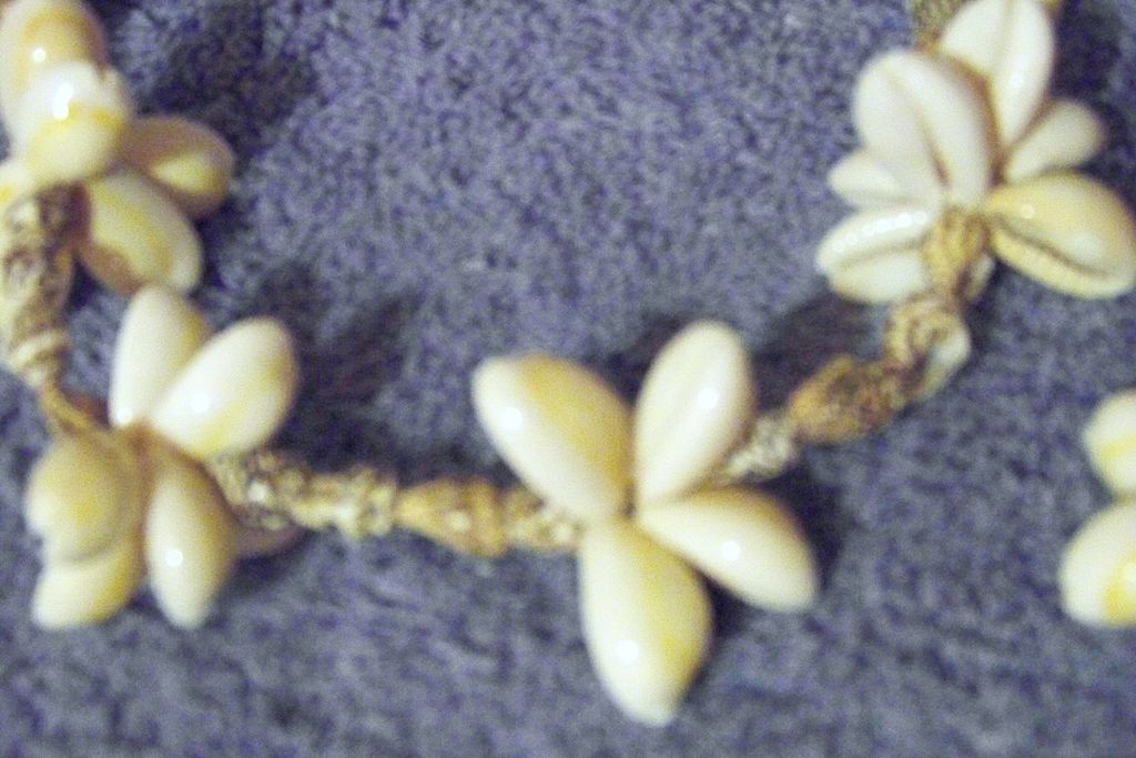 Sea Shell Long Necklace Sea Shell Long Necklace