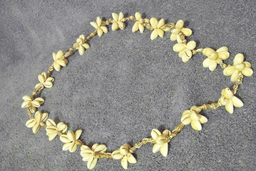 Sea Shell Long Necklace Sea Shell Long Necklace
