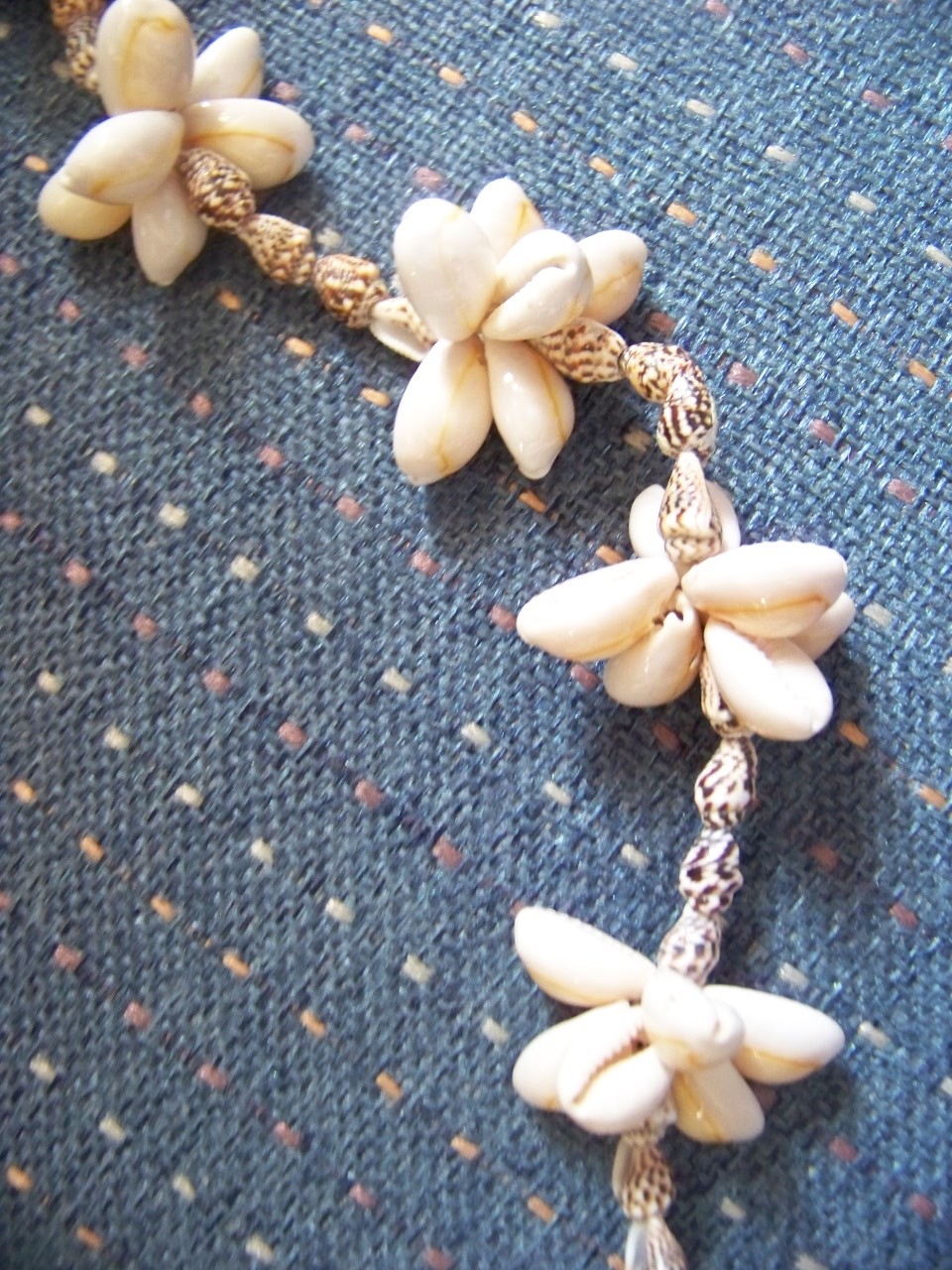 Sea Shell Long Necklace Sea Shell Long Necklace