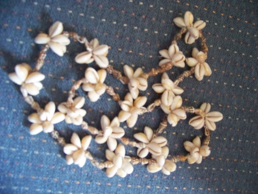 Sea Shell Long Necklace Sea Shell Long Necklace