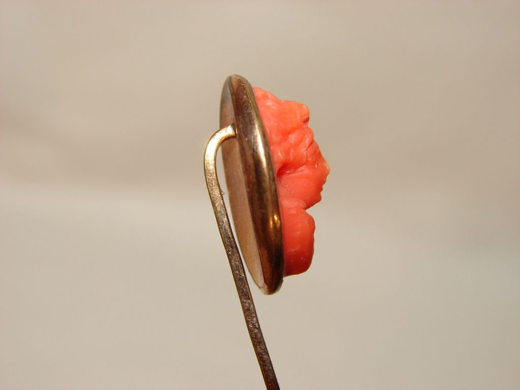 Antique, Victorian Cameo Faux Coral Woman's Head Stick Pin Antique, Victorian Cameo Faux Coral Woman's Head Stick Pin