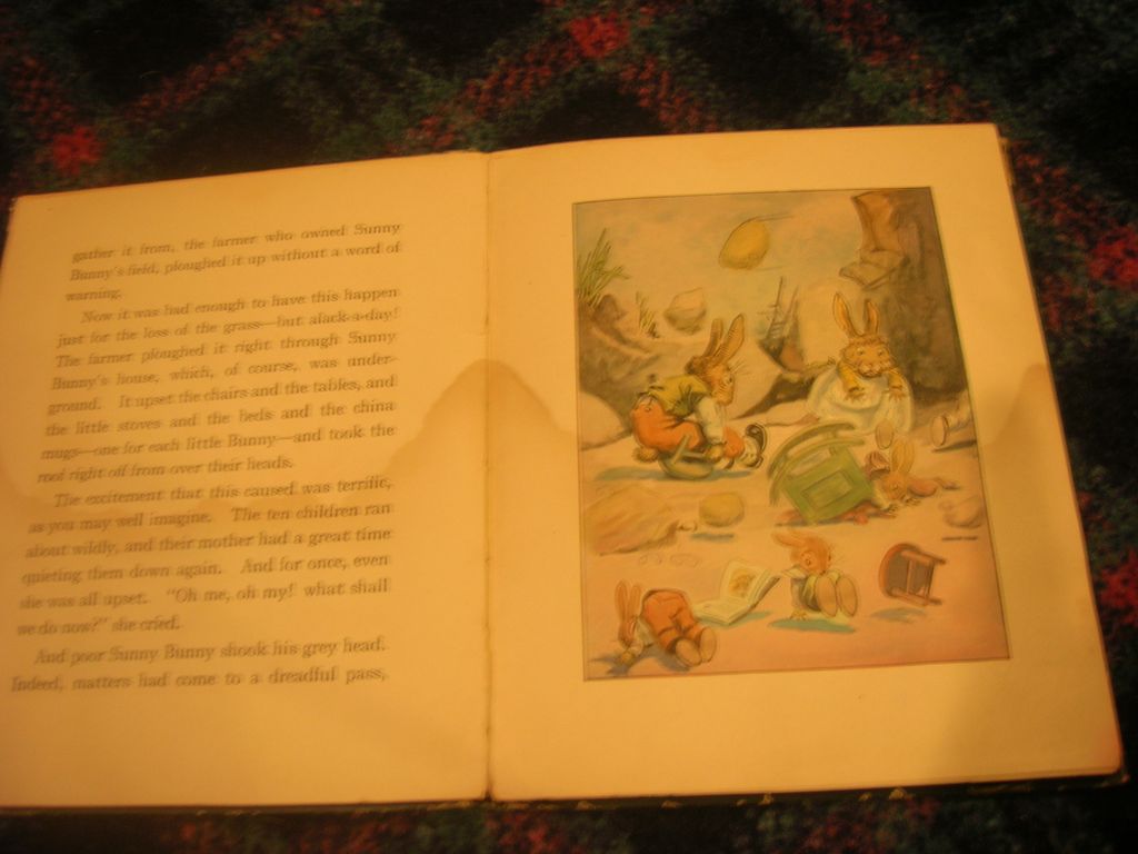 Rare Vintage 1918 "Sunny Bunny" Book by Nora Wilcox Putnam Rare Vintage 1918 "Sunny Bunny" Book by Nora Wilcox Putnam