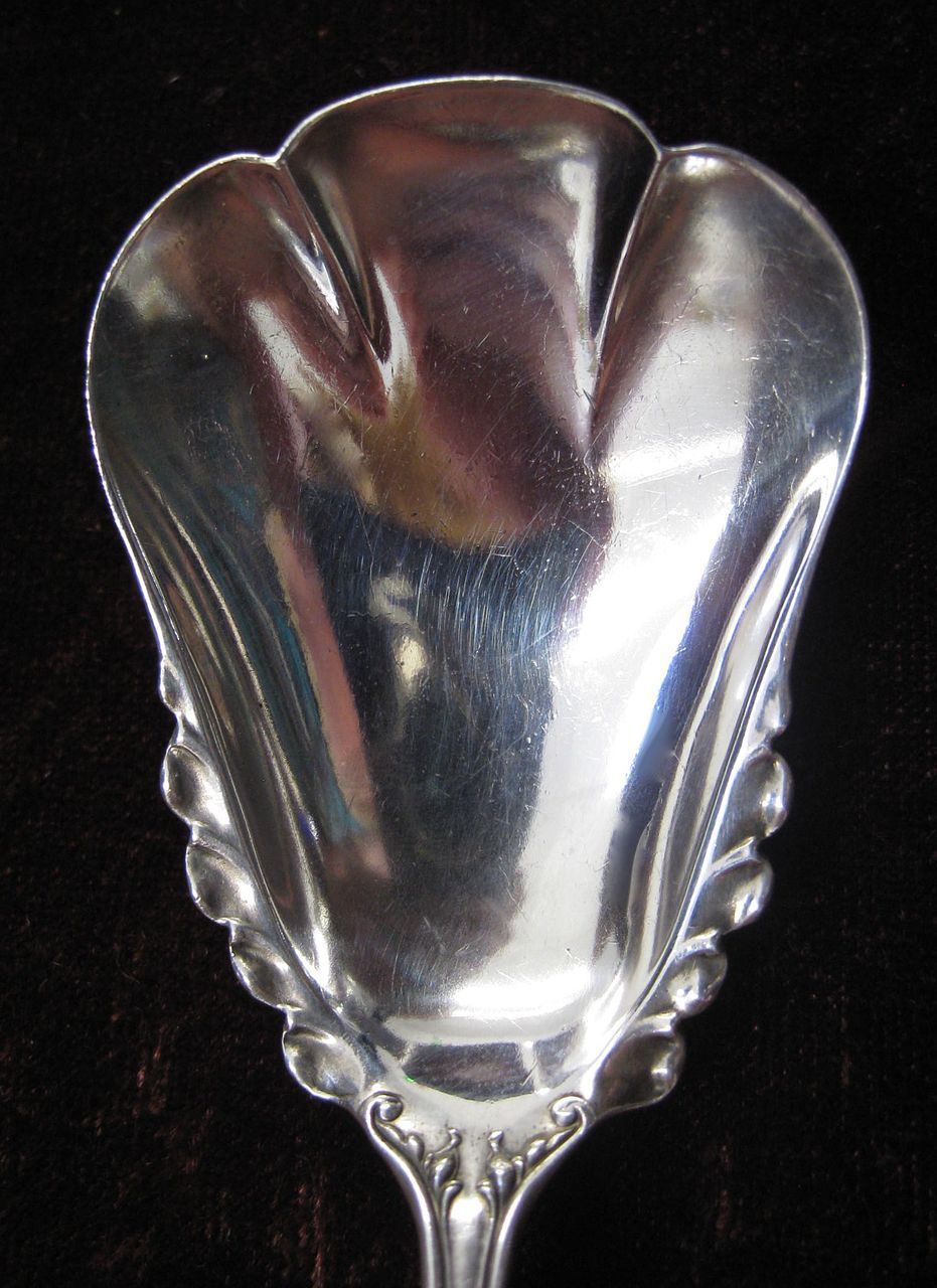 Watson/Mechanics Sterling Silver Sugar Shell in the Jermyn Pattern Watson/Mechanics Sterling Silver Sugar Shell in the Jermyn Pattern
