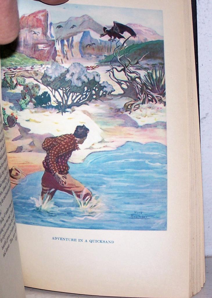 The Out Of Door Book 1935 Western Illustrations Fantastic! The Out Of Door Book 1935 Western Illustrations Fantastic!