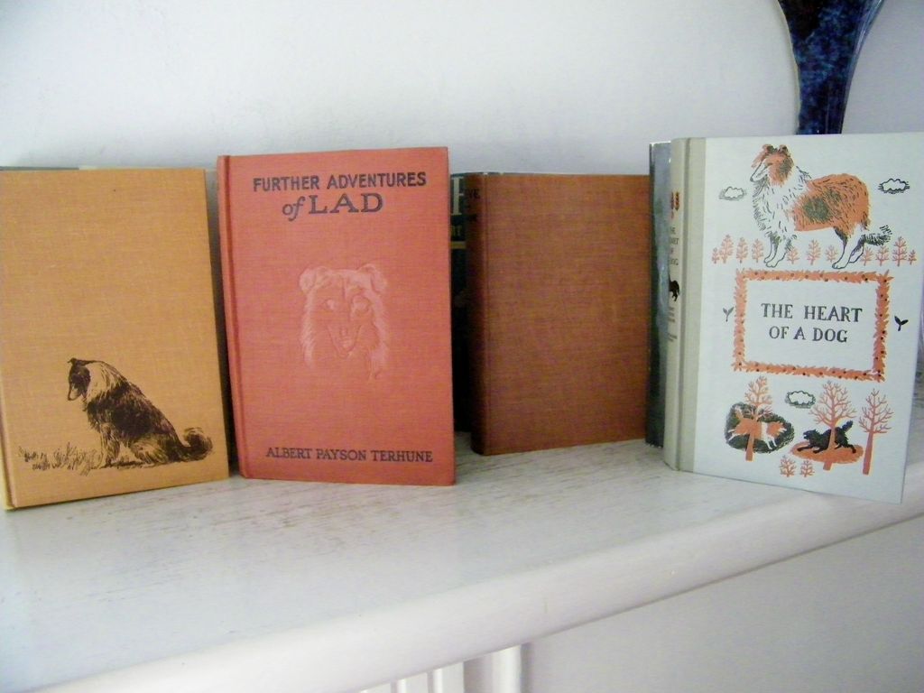 4 Dog Classics by Albert Payson Terhune ... one First Edition 4 Dog Classics by Albert Payson Terhune ... one First Edition