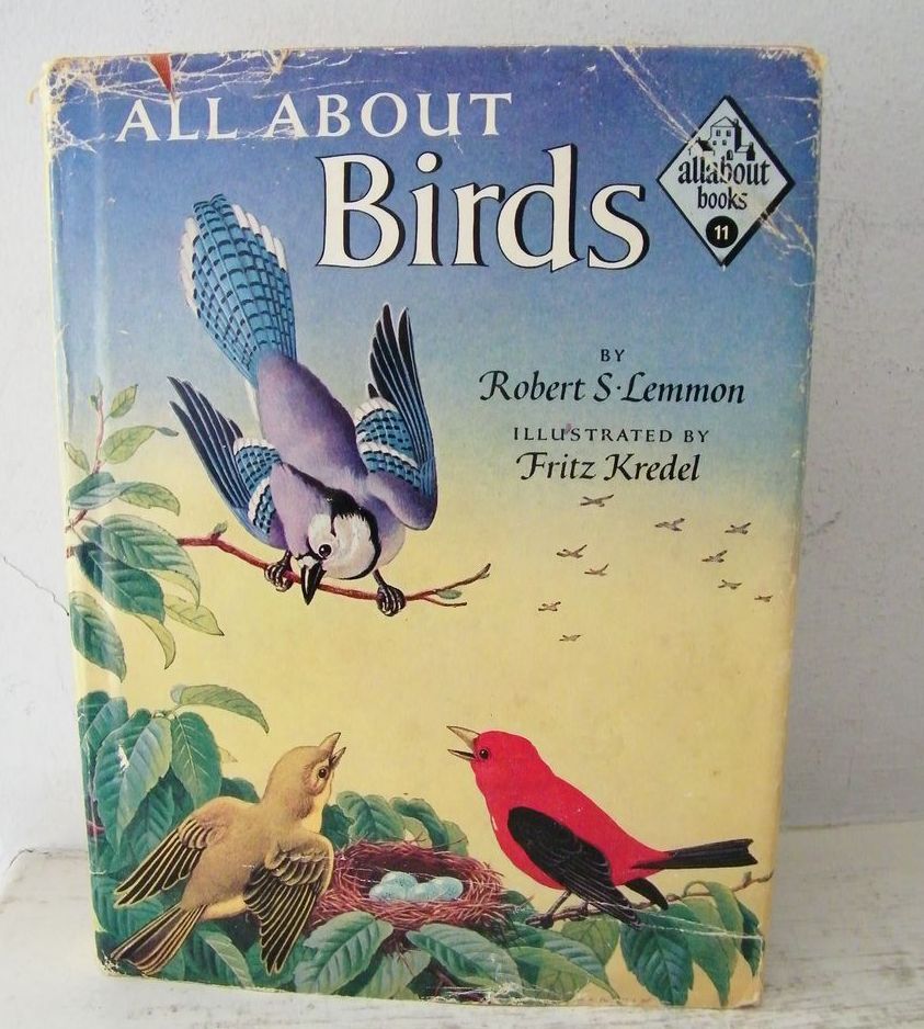 All About Birds 1955 All About Birds 1955