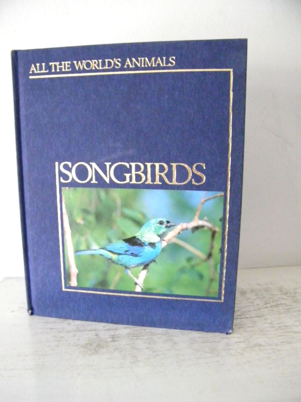 Songbirds with beautiful illustrations 1985 Songbirds with beautiful illustrations 1985