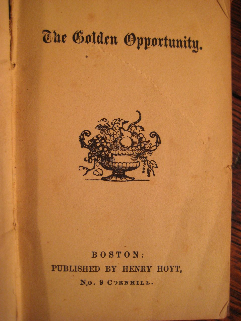 19th Century Child's Book, Golden Opportunity, Circa 1875 19th Century Child's Book, Golden Opportunity, Circa 1875