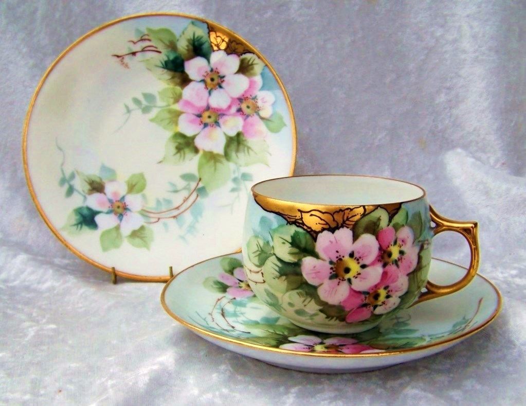 Beautiful Bavaria 1900's Hand Painted "Wild Roses" Matching Cup,Saucer, & Plate by Listed Edward Donath Studio Artist, "Myrtle Peplow" Beautiful Bavaria 1900's Hand Painted "Wild Roses" Matching Cup,Saucer, & Plate by Listed Edward Donath Studio Artist, "Myrtle Peplow"