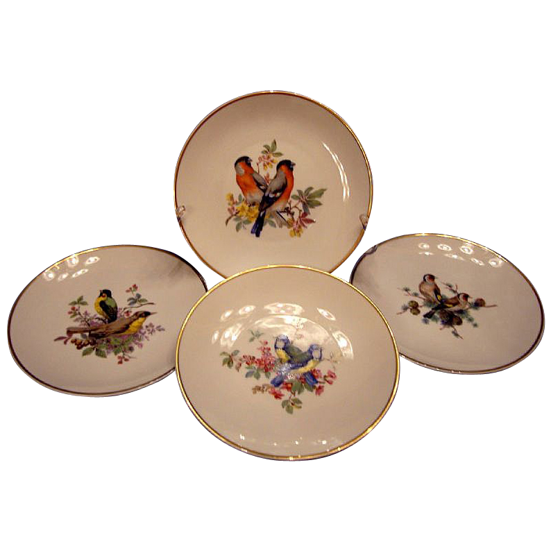 4 Beautiful Kaiser Porcelain Bird Plates 4 Beautiful Kaiser Porcelain Bird Plates