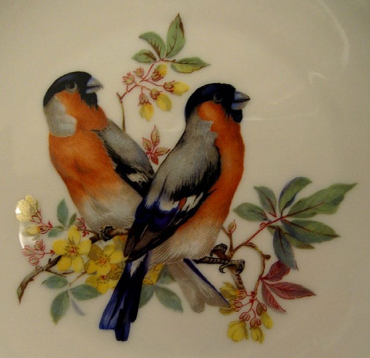 4 Beautiful Kaiser Porcelain Bird Plates 4 Beautiful Kaiser Porcelain Bird Plates