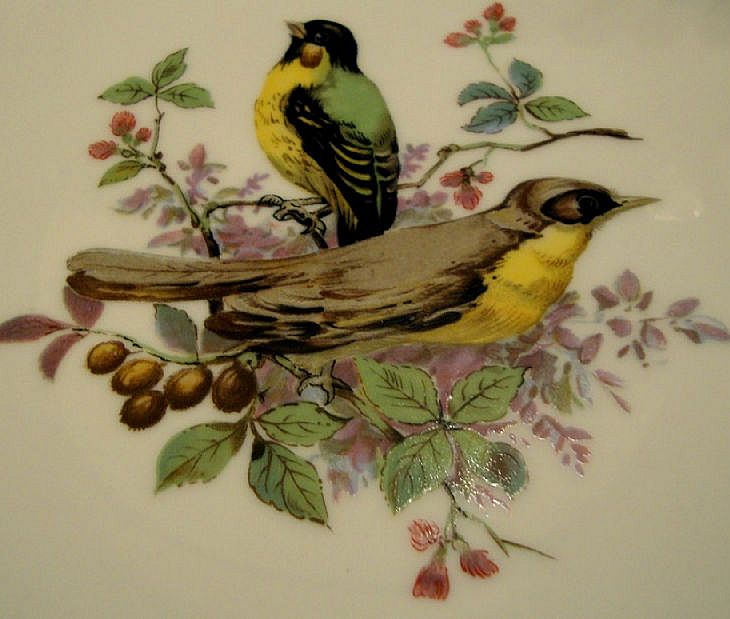 4 Beautiful Kaiser Porcelain Bird Plates 4 Beautiful Kaiser Porcelain Bird Plates