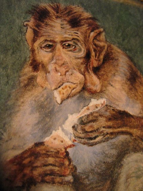 Dogs Monkey Trio Watercolor Painting Dogs Monkey Trio Watercolor Painting