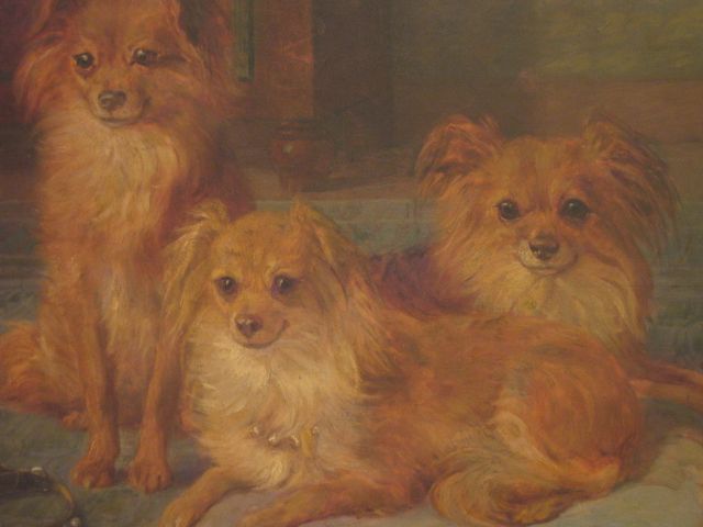 Large Belgian Oil 3 Pomeranian Dogs Signed F. Gaudfroy 1919 Large Belgian Oil 3 Pomeranian Dogs Signed F. Gaudfroy 1919