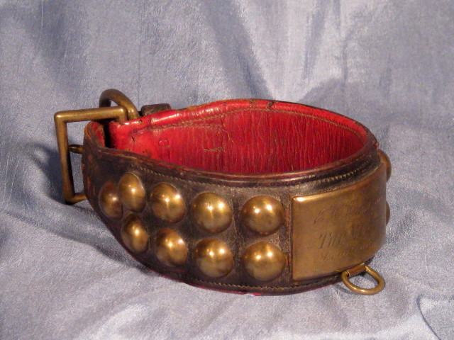 Antique Dog Collar "The Mogul" Louisville,KY with Provenance Antique Dog Collar "The Mogul" Louisville,KY with Provenance