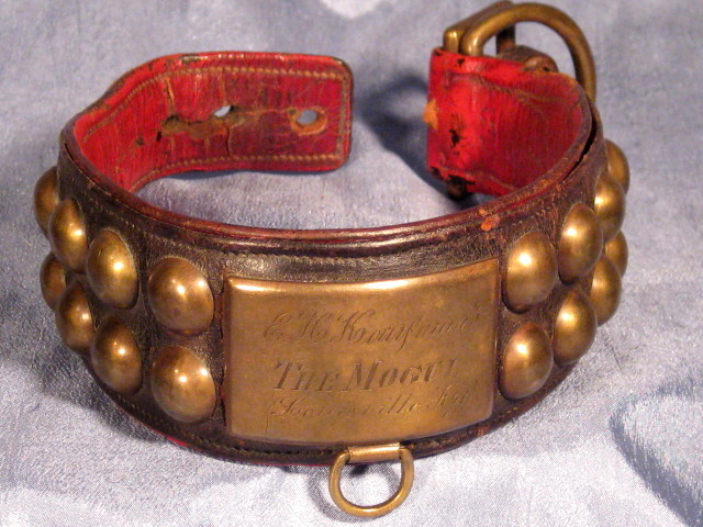 Antique Dog Collar "The Mogul" Louisville,KY with Provenance Antique Dog Collar "The Mogul" Louisville,KY with Provenance