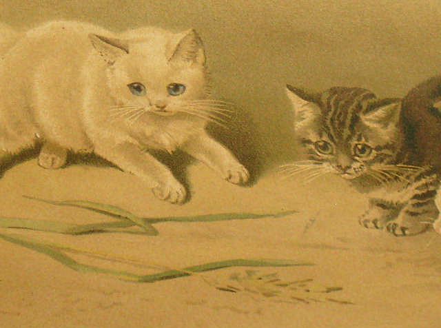 Framed Antique Helena Maguire Cats Kittens Print Framed Antique Helena Maguire Cats Kittens Print