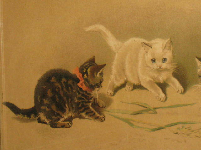 Framed Antique Helena Maguire Cats Kittens Print Framed Antique Helena Maguire Cats Kittens Print