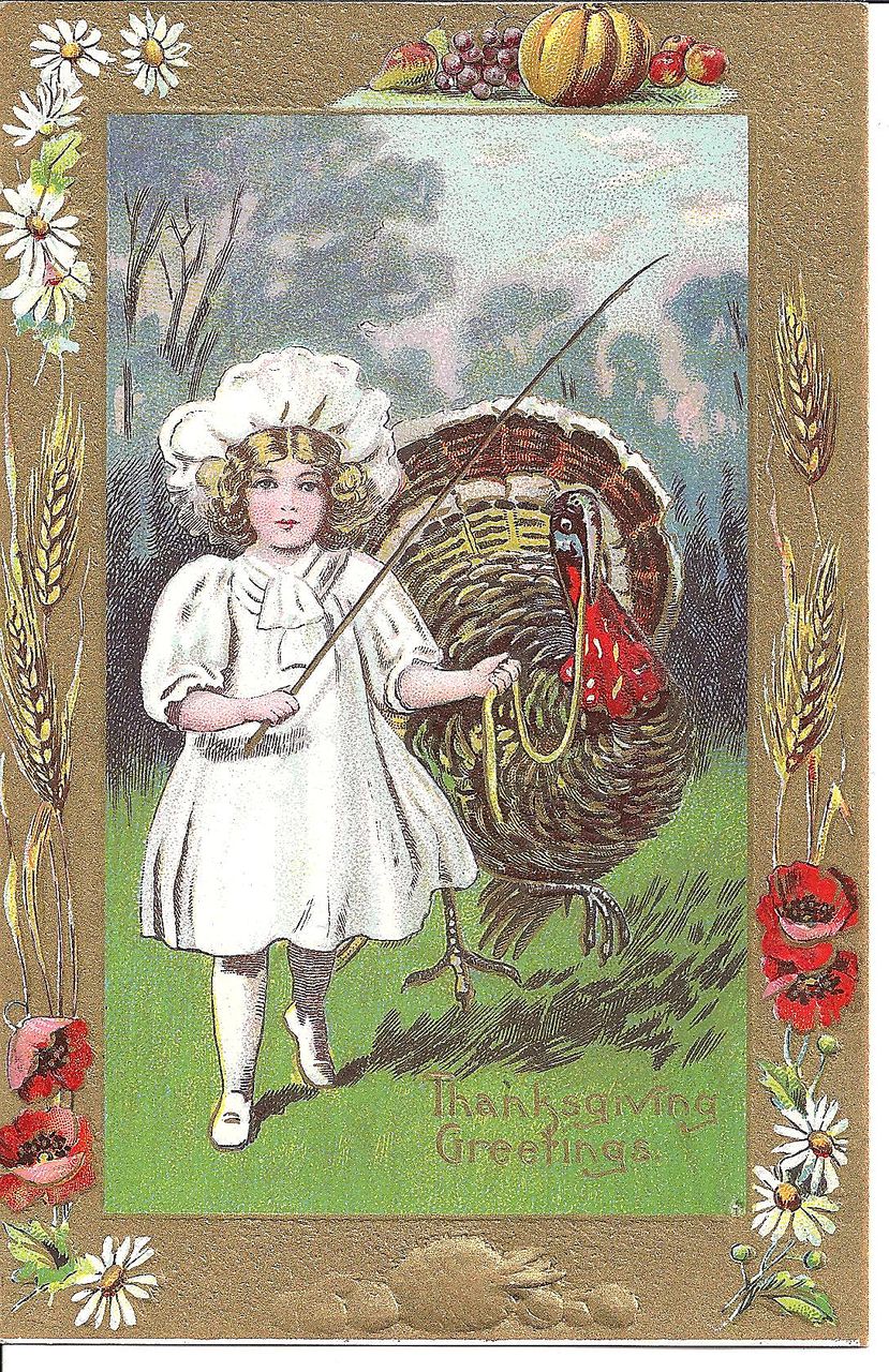 POST CARD, Sweet Little Maiden Leading a Huge Turkey POST CARD, Sweet Little Maiden Leading a Huge Turkey