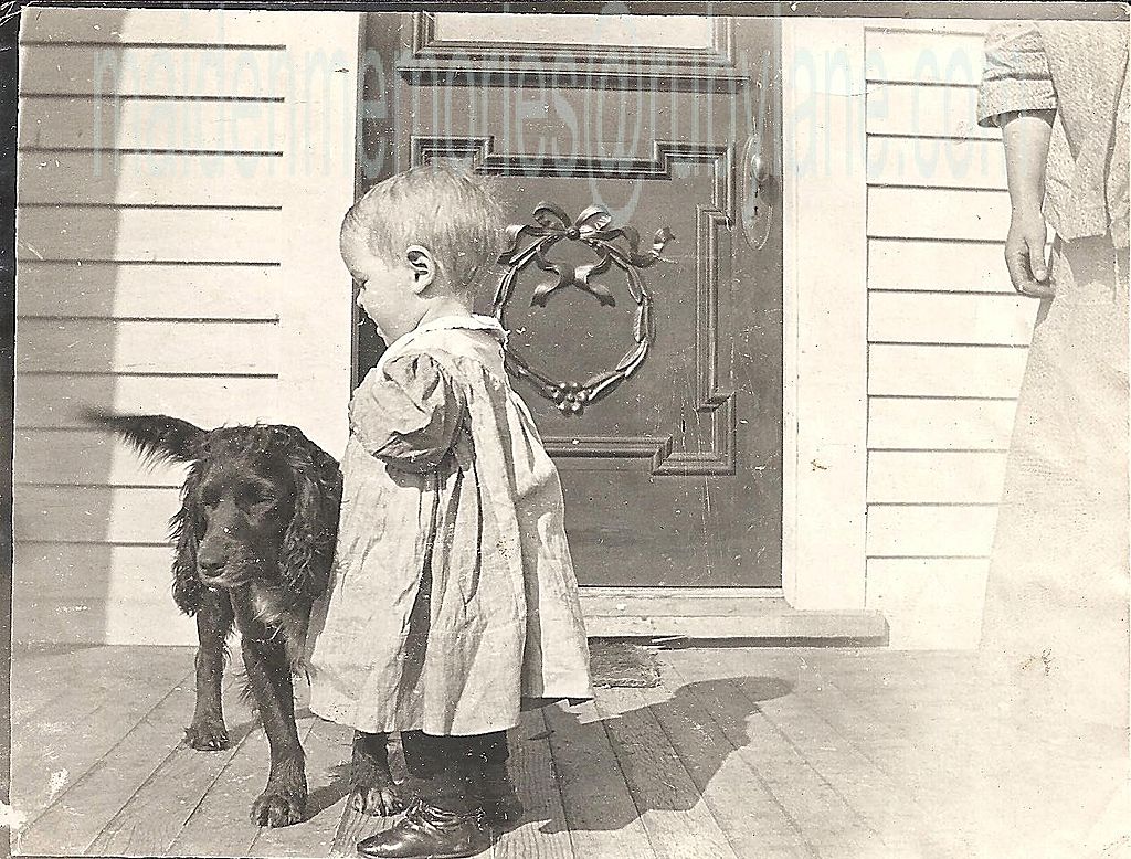 Vintage Photograph~Toddler and her Pooch Circa 1890 Vintage Photograph~Toddler and her Pooch Circa 1890