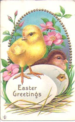 EASTER Postcard~Sweet Chicks Hatching~Greetings Circa 1900 EASTER Postcard~Sweet Chicks Hatching~Greetings Circa 1900