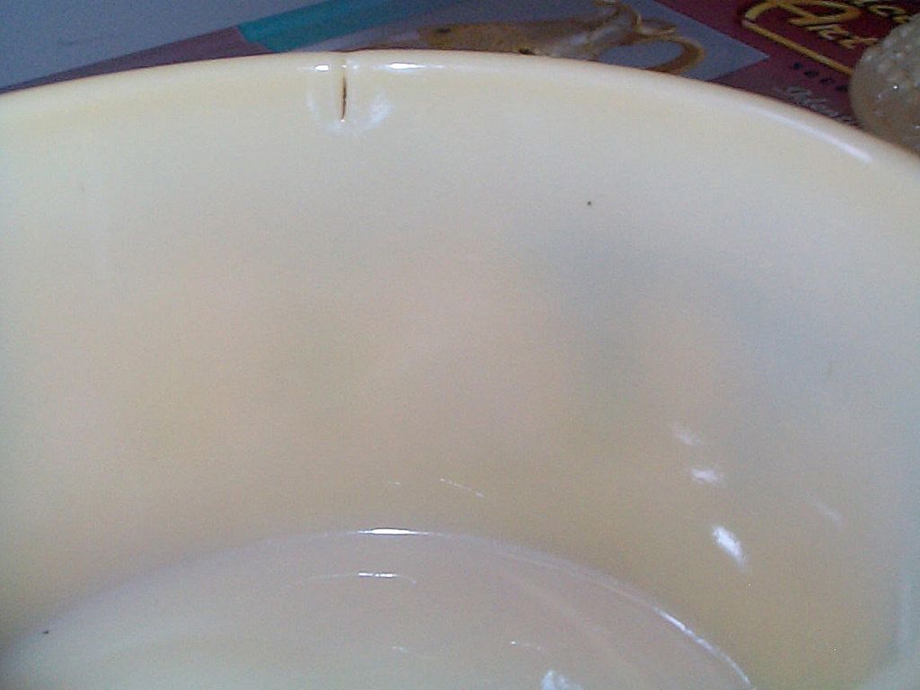 European 19C Lacy Type Sugar Bowl - Caramel Coloring European 19C Lacy Type Sugar Bowl - Caramel Coloring
